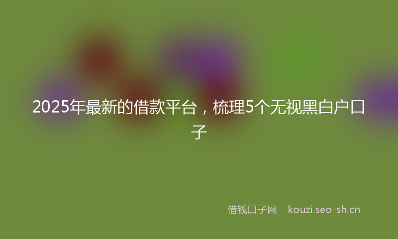 2025年最新的借款平台，梳理5个无视黑白户口子