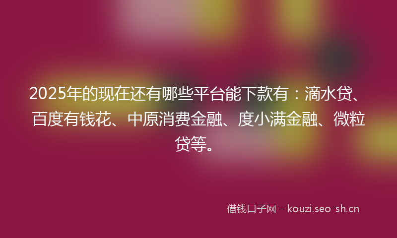 2025年的现在还有哪些平台能下款有：滴水贷、百度有钱花、中原消费金融、度小满金融、微粒贷等。