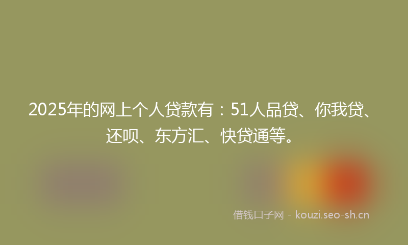 2025年的网上个人贷款有：51人品贷、你我贷、还呗、东方汇、快贷通等。