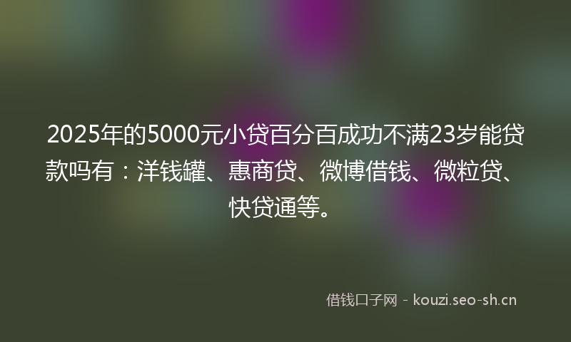 2025年的5000元小贷百分百成功不满23岁能贷款吗有：洋钱罐、惠商贷、微博借钱、微粒贷、快贷通等。