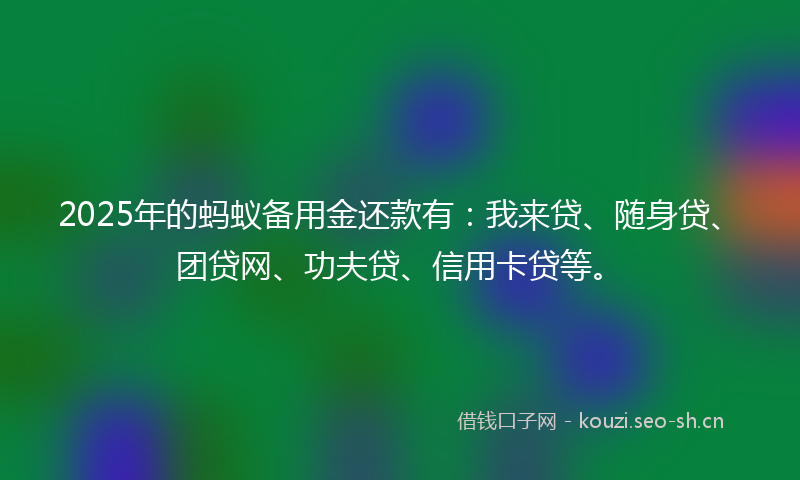 2025年的蚂蚁备用金还款有：我来贷、随身贷、团贷网、功夫贷、信用卡贷等。