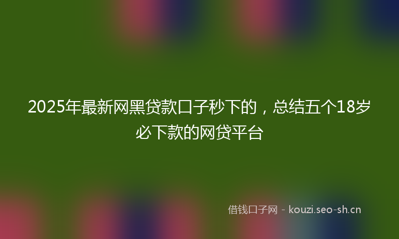 2025年最新网黑贷款口子秒下的，总结五个18岁必下款的网贷平台