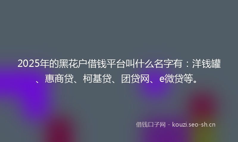 2025年的黑花户借钱平台叫什么名字有：洋钱罐、惠商贷、柯基贷、团贷网、e微贷等。