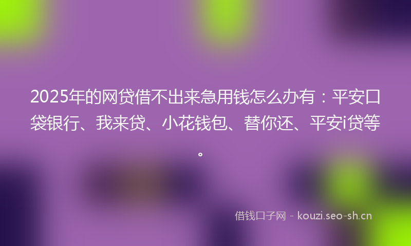 2025年的网贷借不出来急用钱怎么办有：平安口袋银行、我来贷、小花钱包、替你还、平安i贷等。