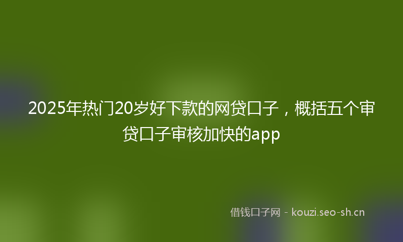 2025年热门20岁好下款的网贷口子，概括五个审贷口子审核加快的app