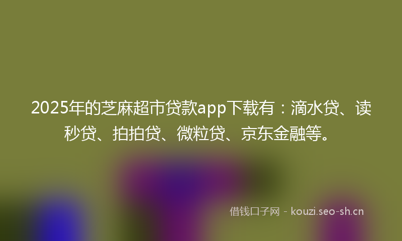 2025年的芝麻超市贷款app下载有：滴水贷、读秒贷、拍拍贷、微粒贷、京东金融等。