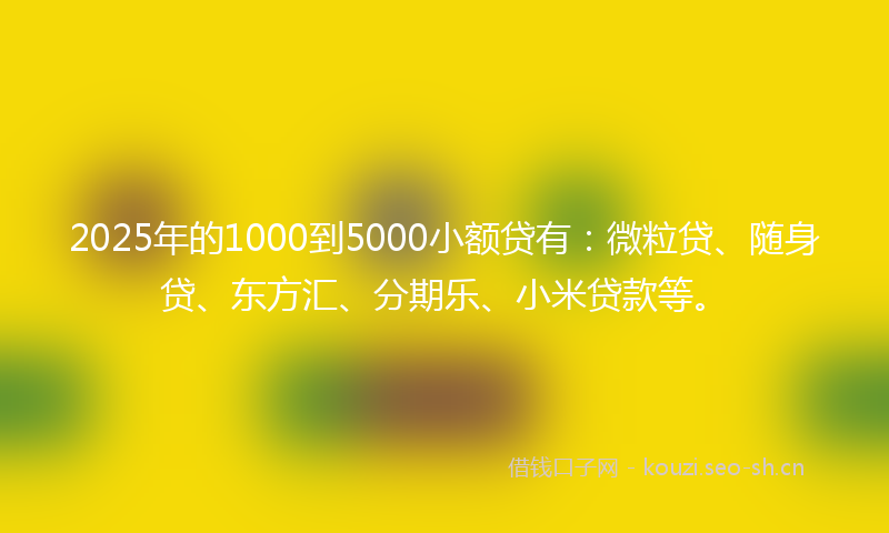 2025年的1000到5000小额贷有：微粒贷、随身贷、东方汇、分期乐、小米贷款等。