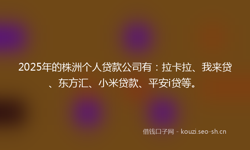 2025年的株洲个人贷款公司有：拉卡拉、我来贷、东方汇、小米贷款、平安i贷等。