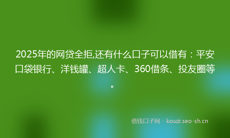 2025年的网贷全拒,还有什么口子可以借有：平安口袋银行、洋钱罐、超人卡、360借条、投友圈等。