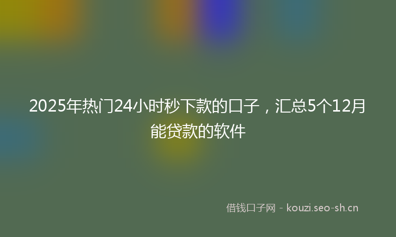 2025年热门24小时秒下款的口子，汇总5个12月能贷款的软件