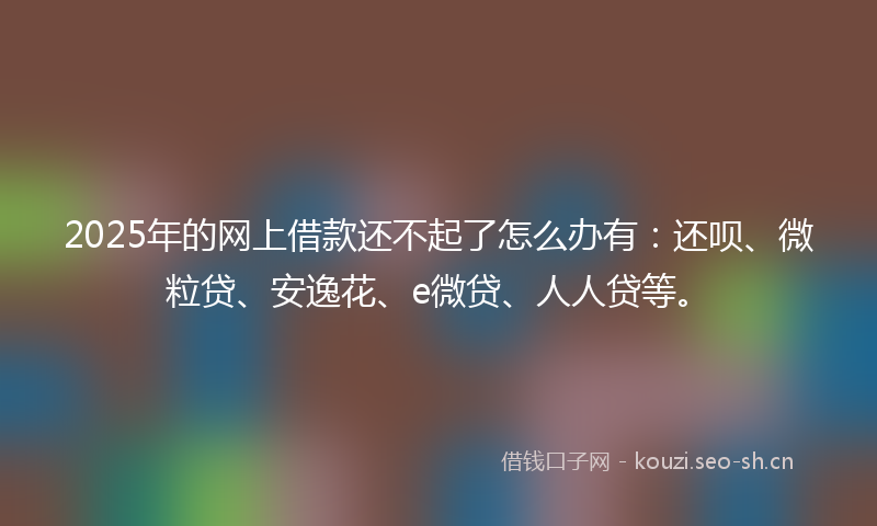 2025年的网上借款还不起了怎么办有：还呗、微粒贷、安逸花、e微贷、人人贷等。