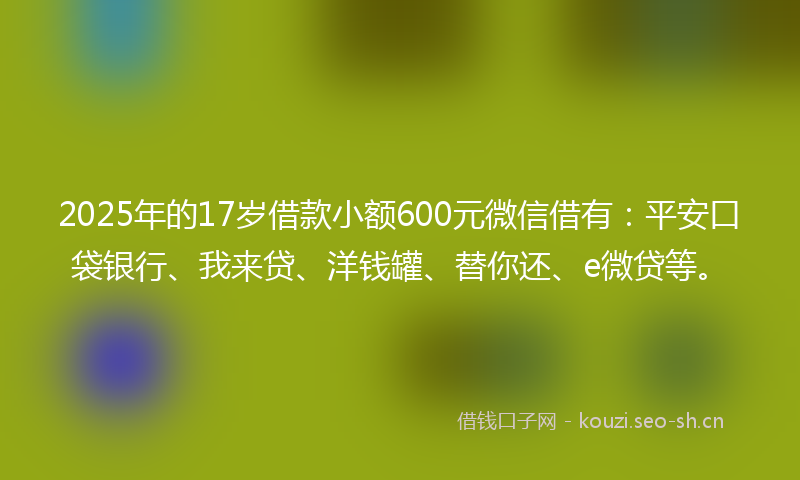2025年的17岁借款小额600元微信借有：平安口袋银行、我来贷、洋钱罐、替你还、e微贷等。