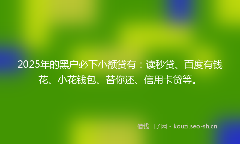 2025年的黑户必下小额贷有：读秒贷、百度有钱花、小花钱包、替你还、信用卡贷等。