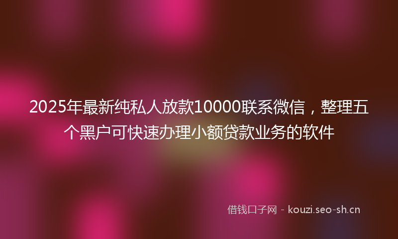 2025年最新纯私人放款10000联系微信，整理五个黑户可快速办理小额贷款业务的软件