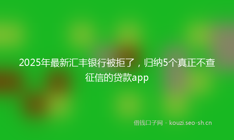 2025年最新汇丰银行被拒了，归纳5个真正不查征信的贷款app