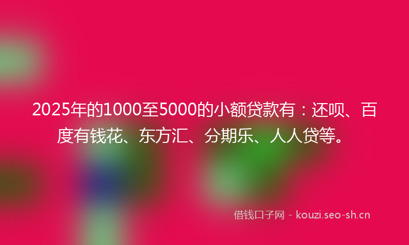 2025年的1000至5000的小额贷款有：还呗、百度有钱花、东方汇、分期乐、人人贷等。