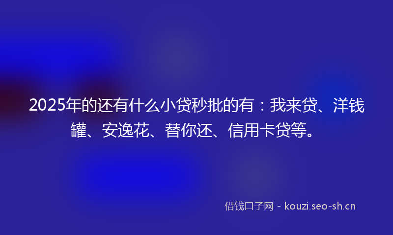 2025年的还有什么小贷秒批的有：我来贷、洋钱罐、安逸花、替你还、信用卡贷等。