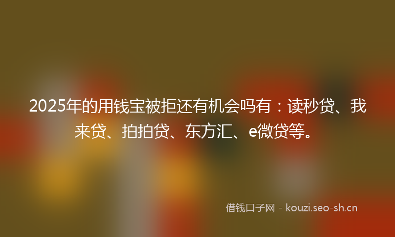 2025年的用钱宝被拒还有机会吗有：读秒贷、我来贷、拍拍贷、东方汇、e微贷等。