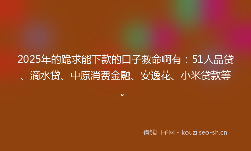 2025年的跪求能下款的口子救命啊有：51人品贷、滴水贷、中原消费金融、安逸花、小米贷款等。