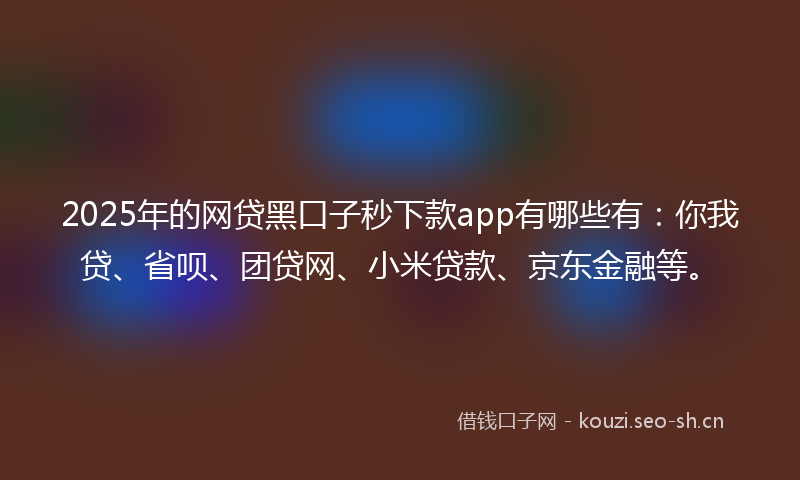 2025年的网贷黑口子秒下款app有哪些有：你我贷、省呗、团贷网、小米贷款、京东金融等。