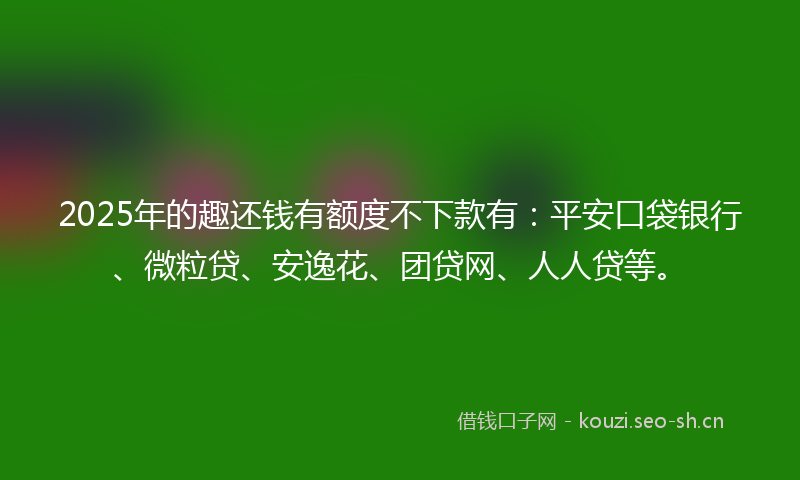 2025年的趣还钱有额度不下款有：平安口袋银行、微粒贷、安逸花、团贷网、人人贷等。