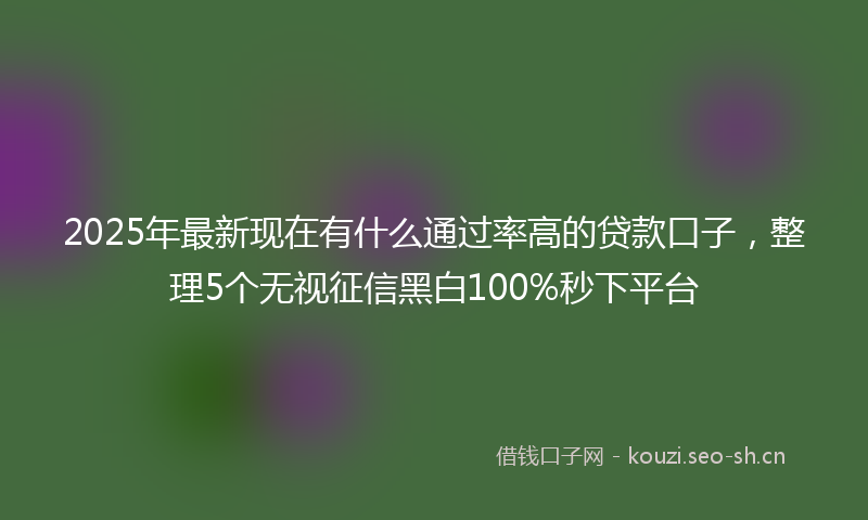 2025年最新现在有什么通过率高的贷款口子，整理5个无视征信黑白100%秒下平台