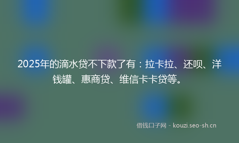 2025年的滴水贷不下款了有：拉卡拉、还呗、洋钱罐、惠商贷、维信卡卡贷等。