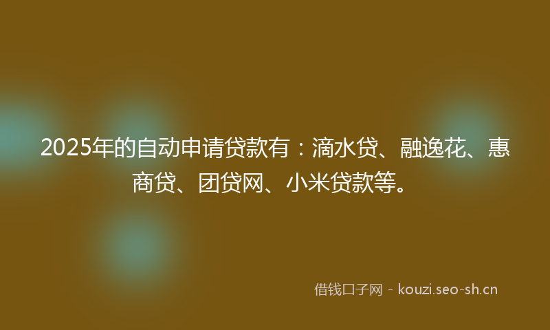 2025年的自动申请贷款有：滴水贷、融逸花、惠商贷、团贷网、小米贷款等。