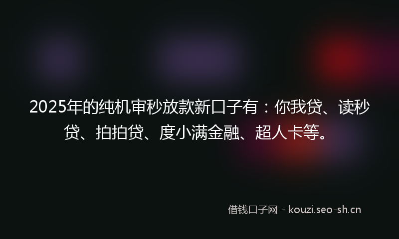 2025年的纯机审秒放款新口子有：你我贷、读秒贷、拍拍贷、度小满金融、超人卡等。