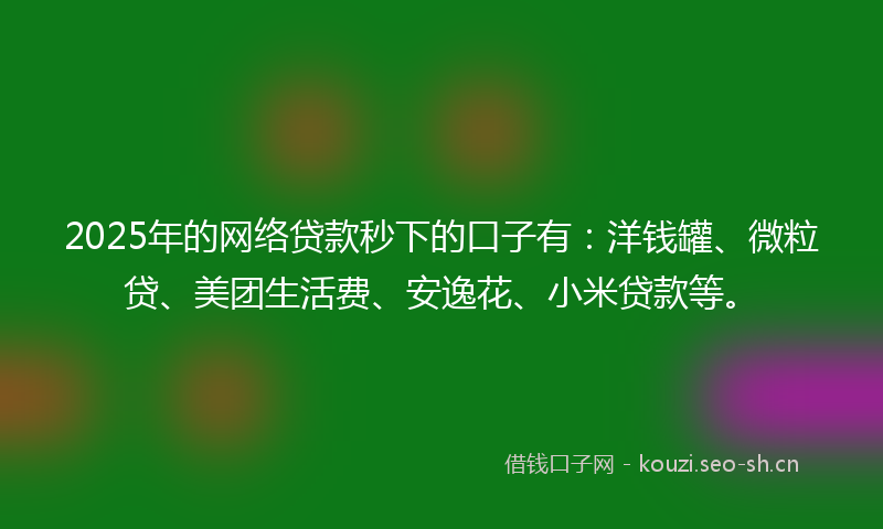 2025年的网络贷款秒下的口子有：洋钱罐、微粒贷、美团生活费、安逸花、小米贷款等。