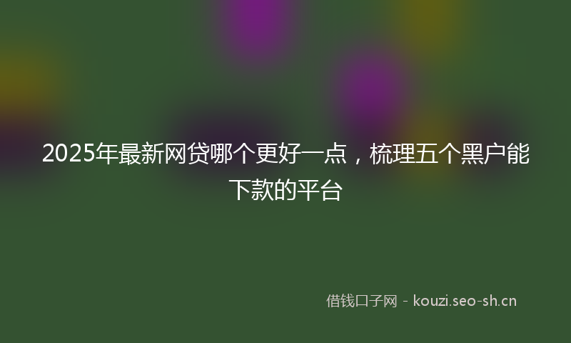 2025年最新网贷哪个更好一点，梳理五个黑户能下款的平台