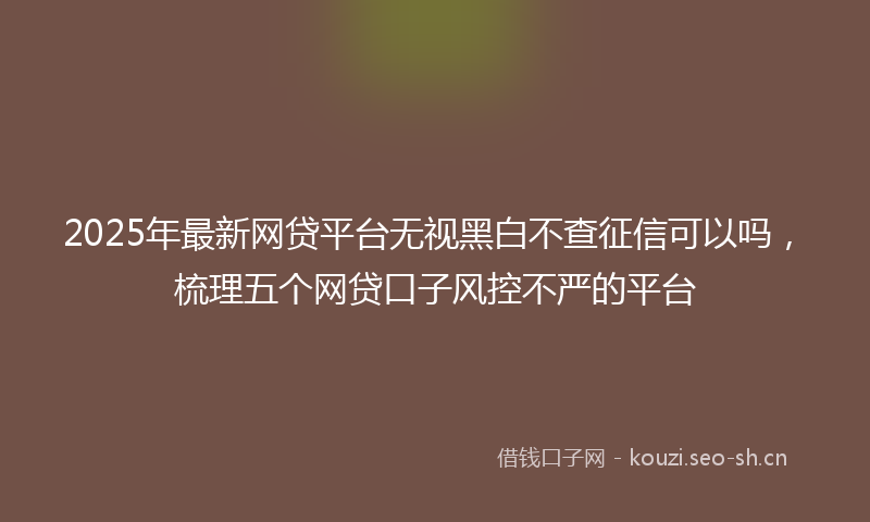 2025年最新网贷平台无视黑白不查征信可以吗，梳理五个网贷口子风控不严的平台