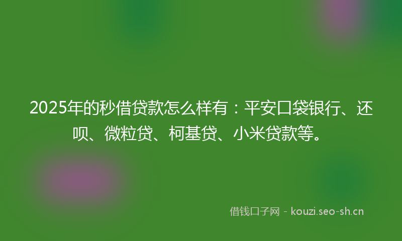 2025年的秒借贷款怎么样有：平安口袋银行、还呗、微粒贷、柯基贷、小米贷款等。
