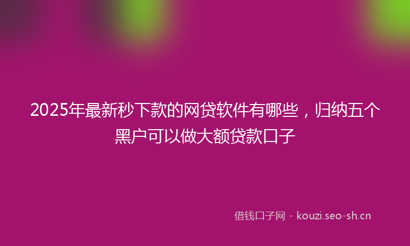 2025年最新秒下款的网贷软件有哪些，归纳五个黑户可以做大额贷款口子