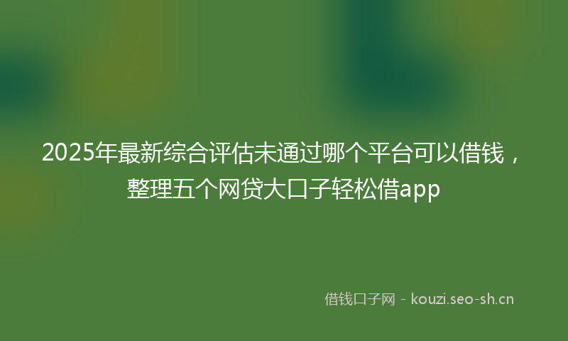 2025年最新综合评估未通过哪个平台可以借钱，整理五个网贷大口子轻松借app
