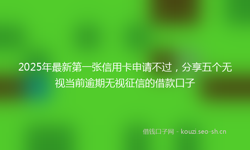 2025年最新第一张信用卡申请不过，分享五个无视当前逾期无视征信的借款口子