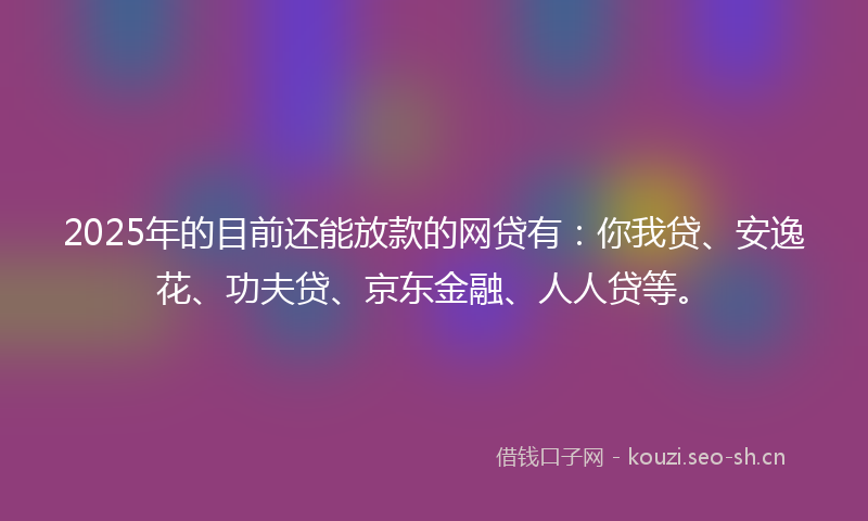 2025年的目前还能放款的网贷有：你我贷、安逸花、功夫贷、京东金融、人人贷等。