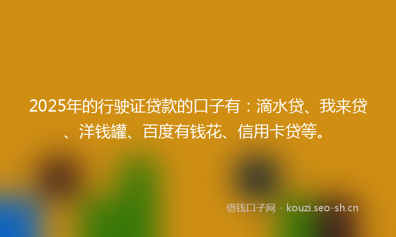 2025年的行驶证贷款的口子有：滴水贷、我来贷、洋钱罐、百度有钱花、信用卡贷等。