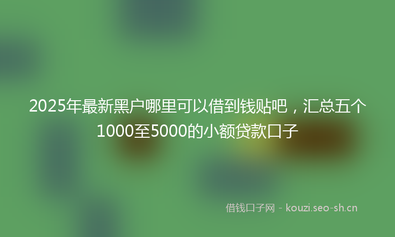 2025年最新黑户哪里可以借到钱贴吧，汇总五个1000至5000的小额贷款口子