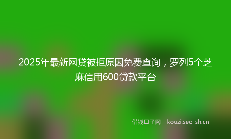 2025年最新网贷被拒原因免费查询，罗列5个芝麻信用600贷款平台