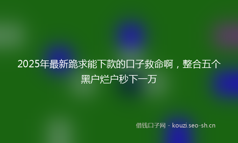 2025年最新跪求能下款的口子救命啊，整合五个黑户烂户秒下一万