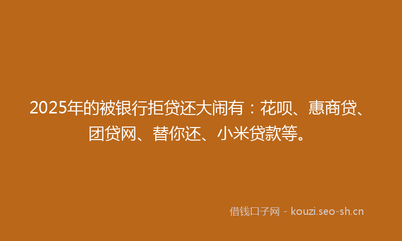 2025年的被银行拒贷还大闹有：花呗、惠商贷、团贷网、替你还、小米贷款等。