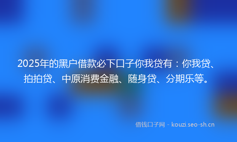 2025年的黑户借款必下口子你我贷有：你我贷、拍拍贷、中原消费金融、随身贷、分期乐等。