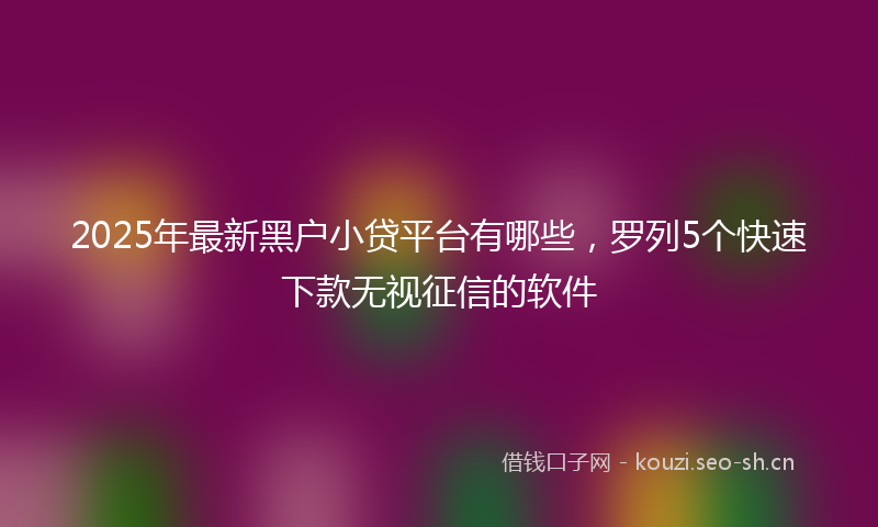 2025年最新黑户小贷平台有哪些，罗列5个快速下款无视征信的软件
