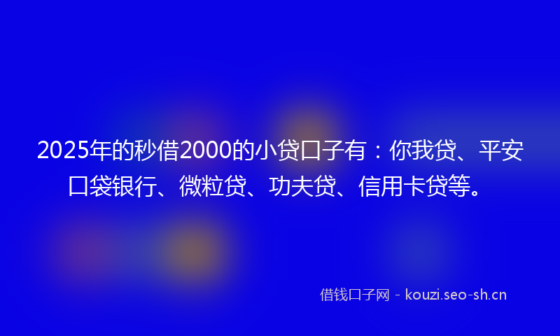 2025年的秒借2000的小贷口子有：你我贷、平安口袋银行、微粒贷、功夫贷、信用卡贷等。