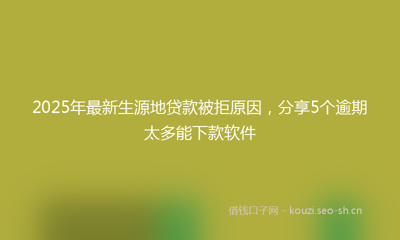 2025年最新生源地贷款被拒原因，分享5个逾期太多能下款软件