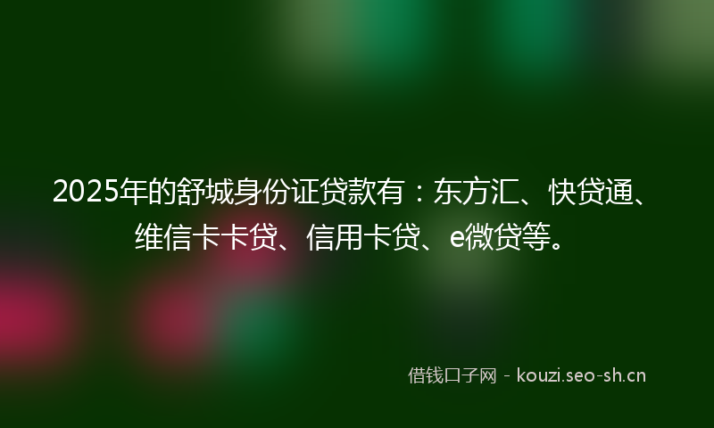 2025年的舒城身份证贷款有：东方汇、快贷通、维信卡卡贷、信用卡贷、e微贷等。
