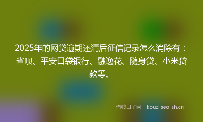 2025年的网贷逾期还清后征信记录怎么消除有：省呗、平安口袋银行、融逸花、随身贷、小米贷款等。