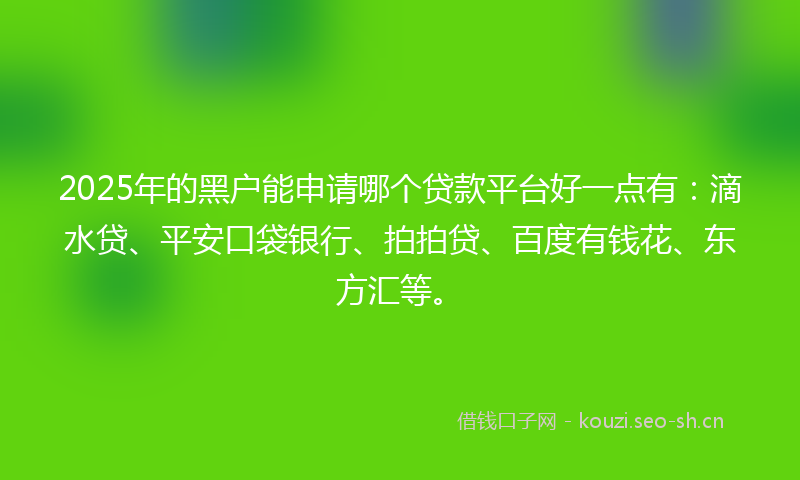 2025年的黑户能申请哪个贷款平台好一点有：滴水贷、平安口袋银行、拍拍贷、百度有钱花、东方汇等。