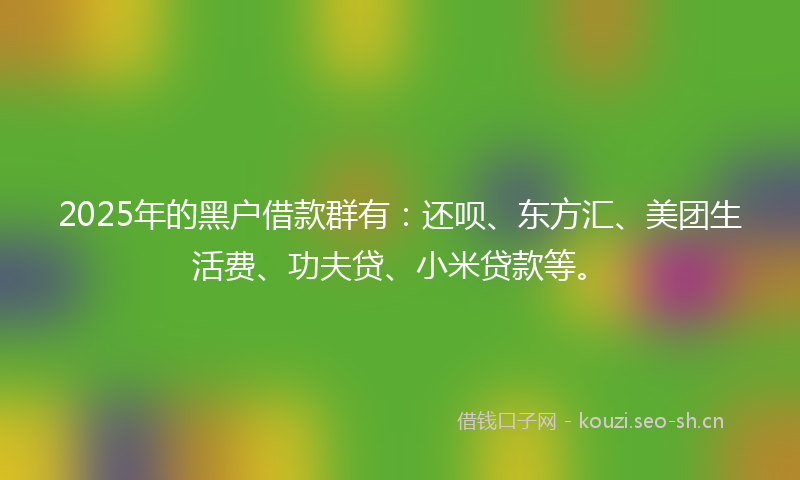 2025年的黑户借款群有：还呗、东方汇、美团生活费、功夫贷、小米贷款等。